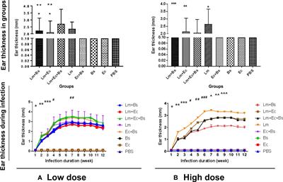 Co-infection of Phlebotomus papatasi (Diptera: Psychodidae) gut bacteria with Leishmania major exacerbates the pathological responses of BALB/c mice